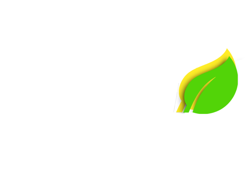 Felipe Mota — Deputado Estadual — 45800